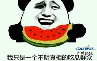 吃瓜群众指什么意思,网络时代的旁观者与评论者